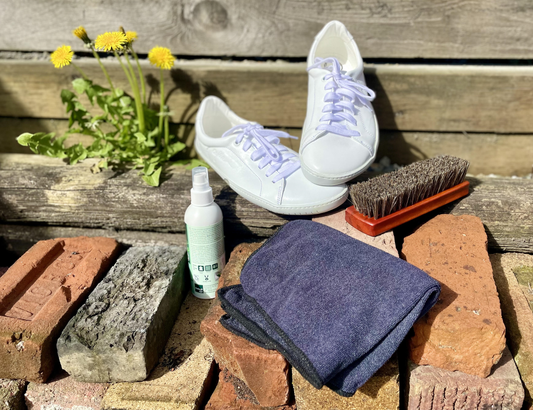 SHOE CARE GUIDE